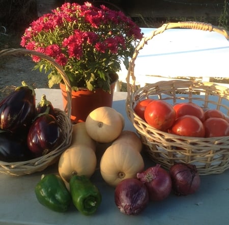 vegetable stand